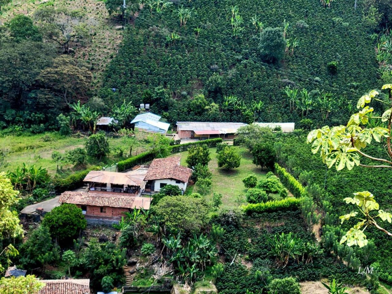 Finca Hostal Valle Claro Hotel Betania Exterior foto